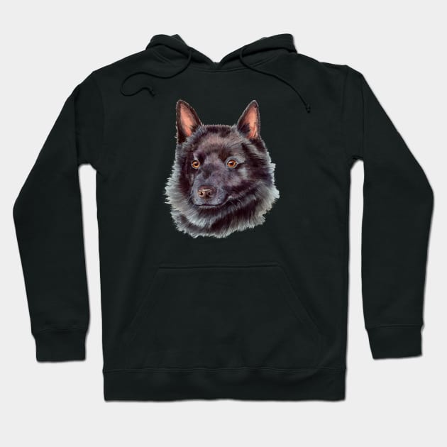 Schipperke Hoodie by doggyshop